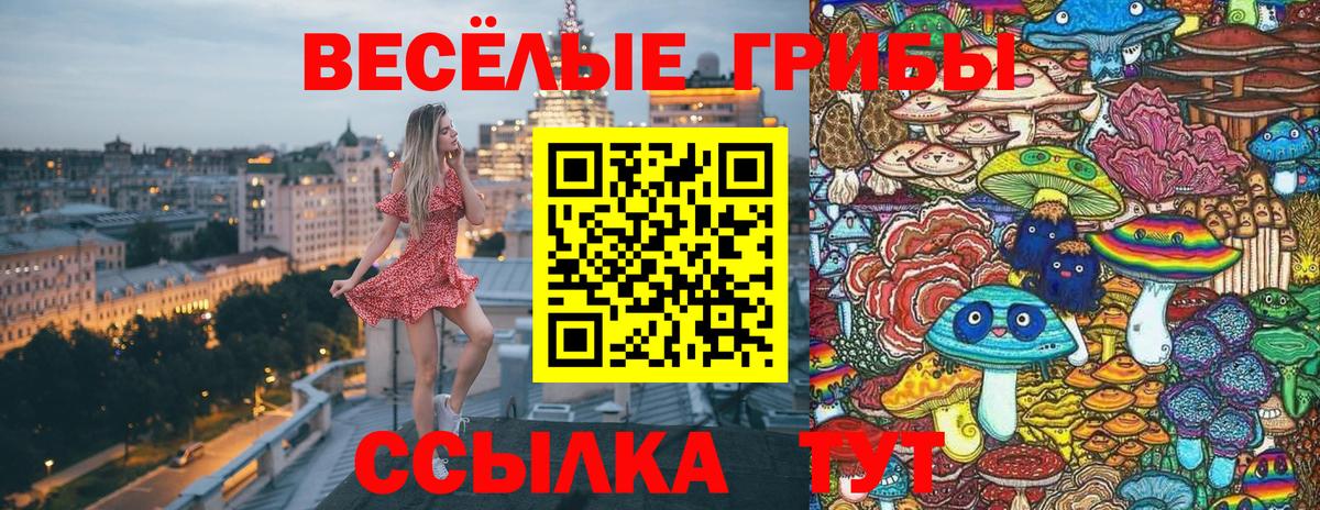 Галлюциногенные грибы MAGIC MUSHROOMS Приморско-Ахтарск