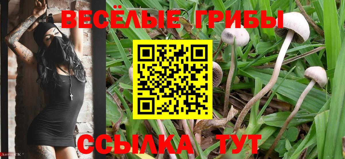 Псилоцибиновые грибы Cubensis  Галлюциногенные грибы Psilocybine cubensis  Приморско-Ахтарск  Вход с VPN 
